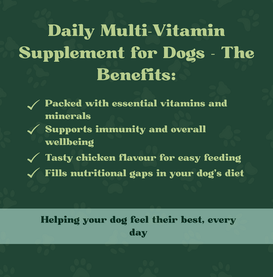Daily Multi-Vitamin Supplement for Dogs | 120 Tablets