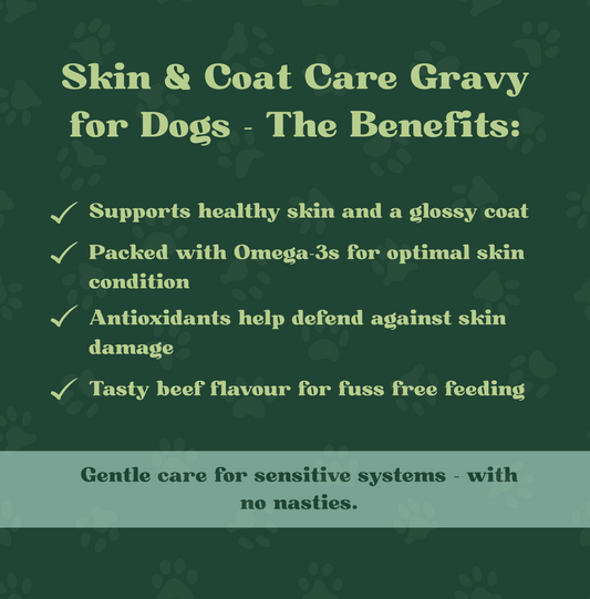Skin & Coat Care Gravy for Dogs | 290ml
