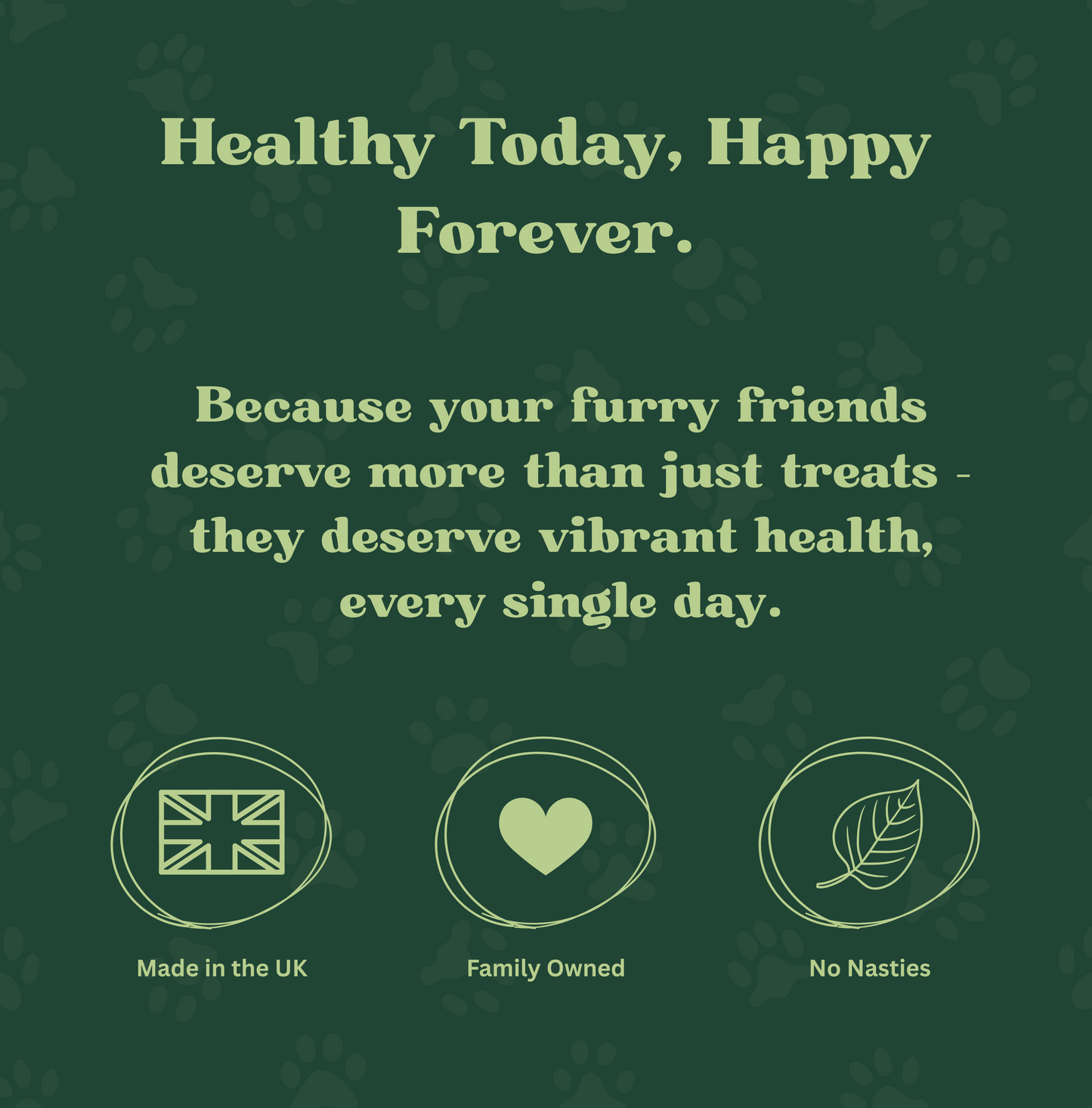 Natural Joint Support Tablets for Pets | 120 Tablets