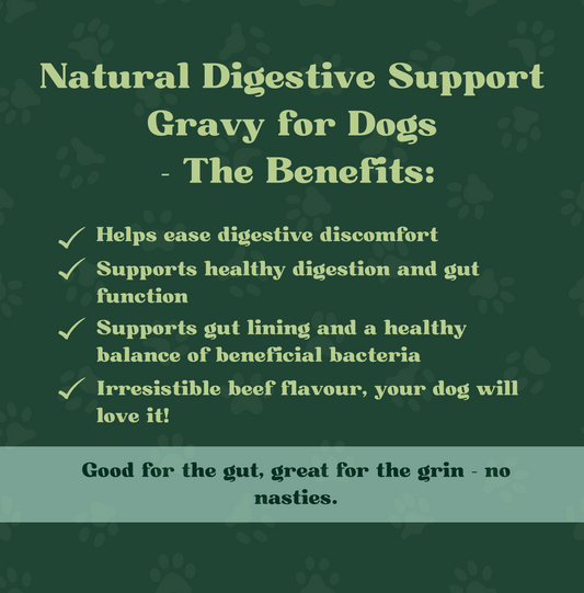 Natural Digestive Support Gravy for Dogs | 290ml