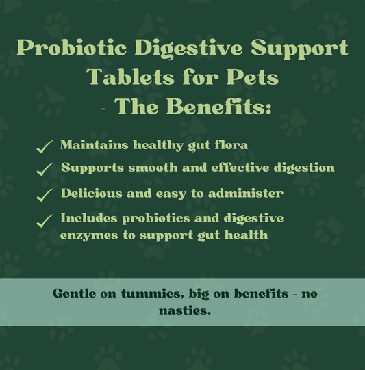 Probiotic Digestive Support Tablets for Pets | 120 Tablets