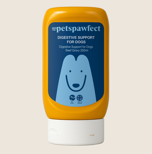 Natural Digestive Support Gravy for Dogs | 290ml