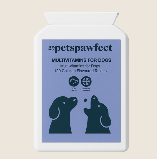 Daily Multi-Vitamin Supplement for Dogs | 120 Tablets